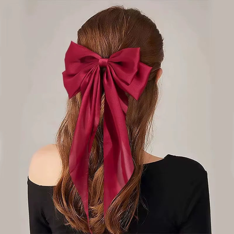 Pinza de Pelo con Lazo colocada en el cabello